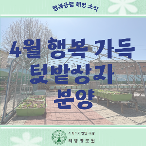 4/7 행복 가득 텃밭 상자 분양